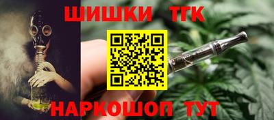 молекула духа Кингисепп