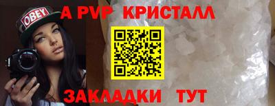 молекула духа Кингисепп