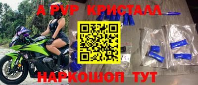 молекула духа Кингисепп