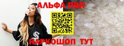 молекула духа Кингисепп