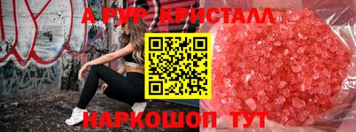молекула духа Кингисепп