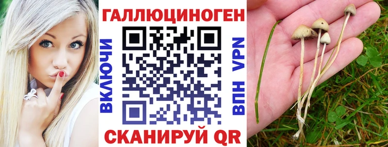 маркетплейс какой сайт  Кызыл  Галлюциногенные грибы GOLDEN TEACHER 